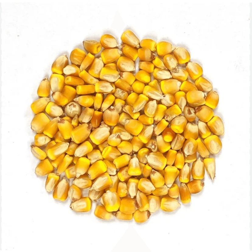 Grains